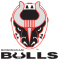 Birmingham Bulls