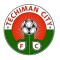 Techiman City