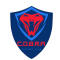 Cobra Cricket Club