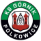 Gornik Polkowice