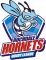 Rochdale Hornets