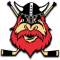 Nybro Vikings IF