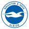 Brighton & Hove Albion SRL