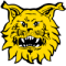 Ilves Tampere (F)