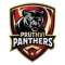 Pruthvi Panthers