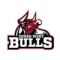 Inner West Bulls