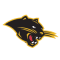 Ohio Dominican Panthers