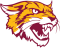 Bethune Cookman Wildcats (W)