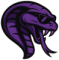 Team Cobra