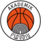 Academic Bultex 99