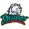 Bravos de Leon