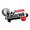 NUREMBERG FALCONS