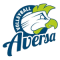 Volleyball Aversa