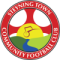 Steyning Town