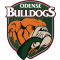 Odense Bulldogs