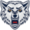 BK Wolves Radotin