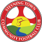 Steyning Town (W)