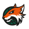Plymouth Raiders