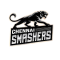 Chennai Smashers