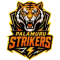 Palamuru Strikers