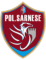 Asd Polisportiva Sarnese