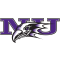Niagara Purple Eagles