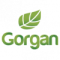 Pas Gorgan