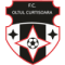 Oltul Curtisoara