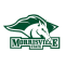 Morrisville State Mustangs