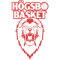 Hogsbo Basket
