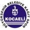 Ted Kocaeli