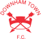 Downham Town FC