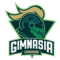 Gimnasia de Comodoro