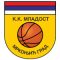 Mladost Mrkonjic
