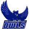 Southern Connecticut Fighting Owls
