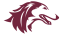 Southern Illinois Salukis (W)