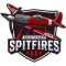 Southern Spitfires