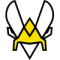Team Vitality
