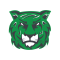 Salem Tigers