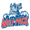 Hartford Wolf Pack