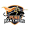 Pune Panthers