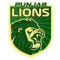 Punjab Lions