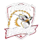 Medak Falcons