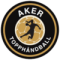 Aker Topphaandball 2 (W)