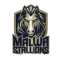 Malwa Stallions