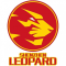 Shenzhen Leopards 21