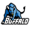Buffalo Bulls