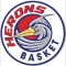 Herons Basket Montecatini