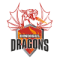 Dindigul Dragons