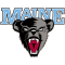 Maine Black Bears